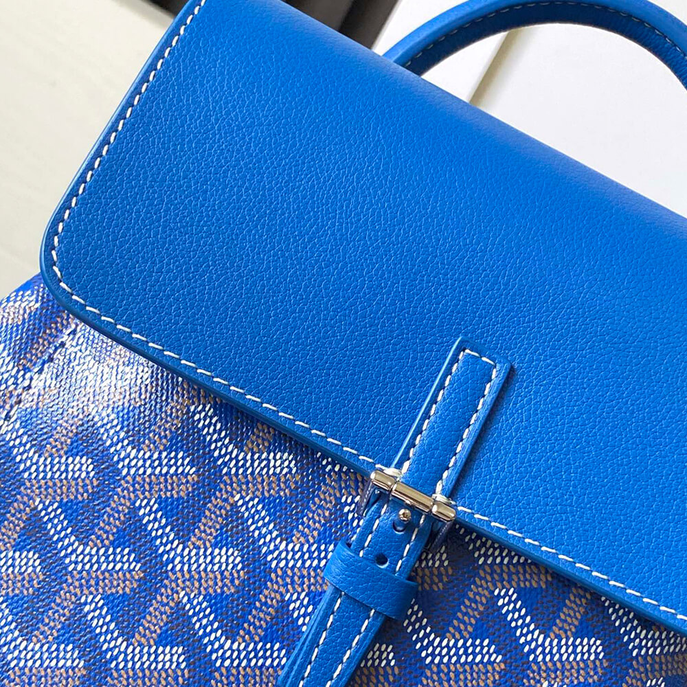 Goyard Alpin Mini Backpack