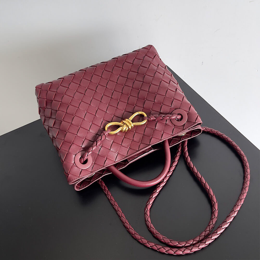 Bottega Veneta Small Andiamo