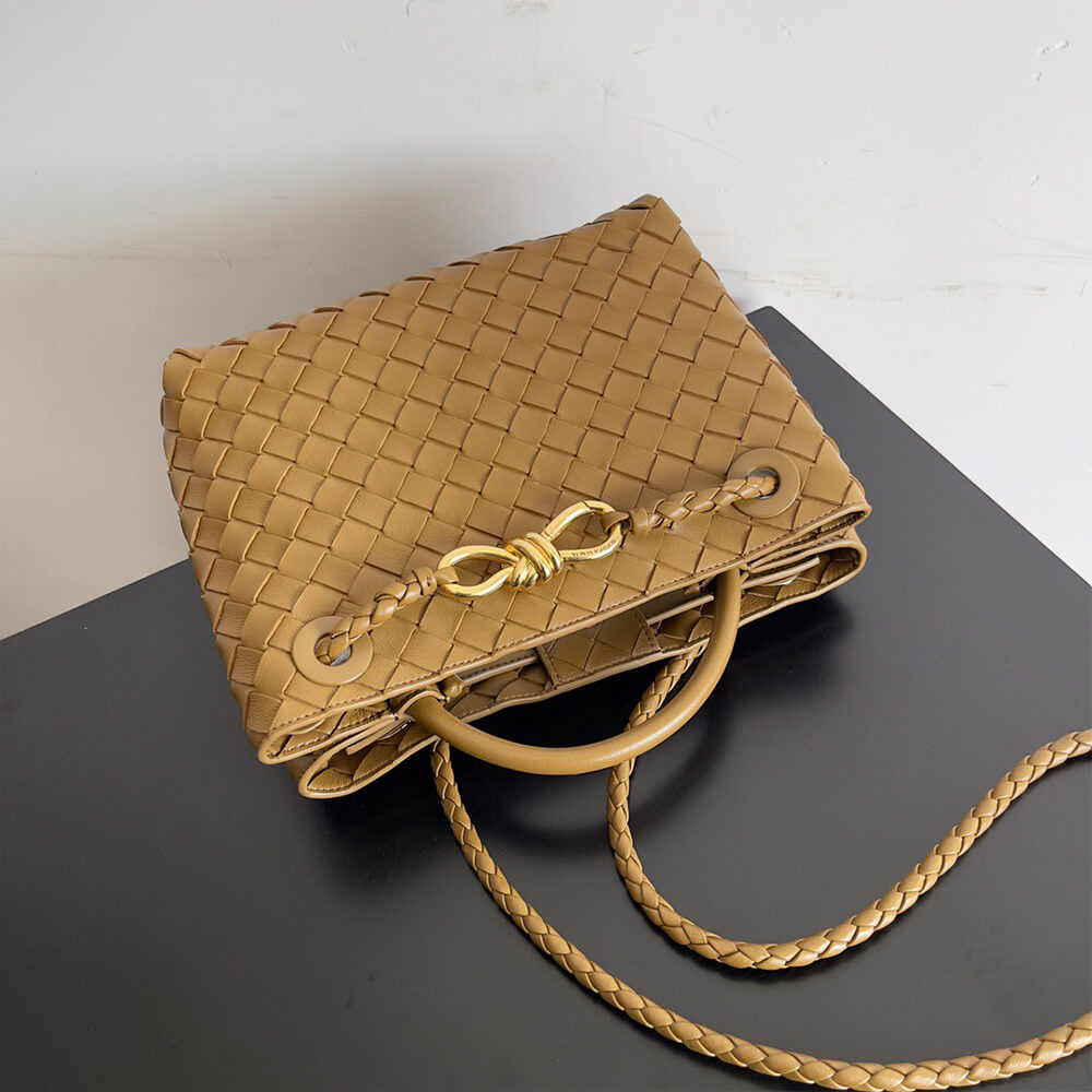 Bottega Veneta Small Andiamo