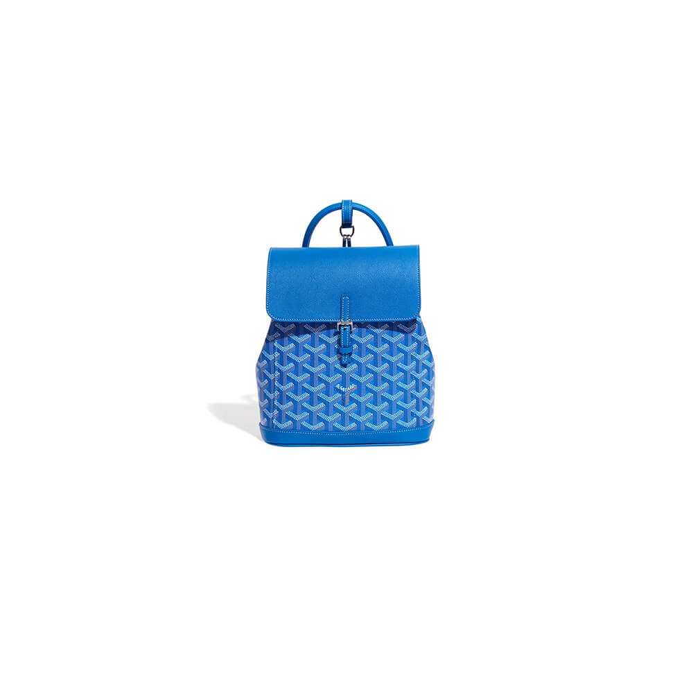 Goyard Alpin Mini Backpack