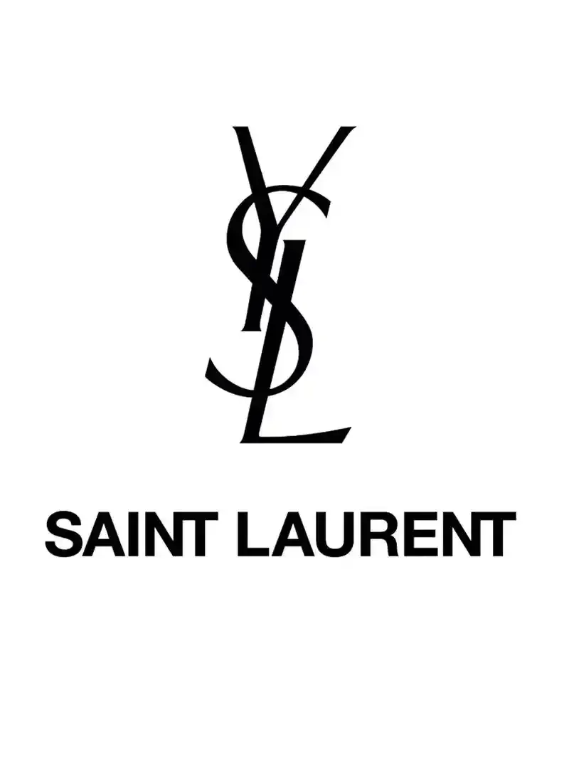 YSL & BAGS